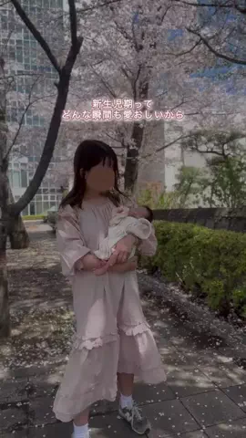 しまうまプリントのTikTok投稿