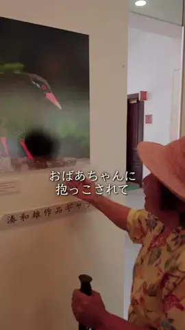 🌺南の島のおばーと孫🏝のTikTok投稿