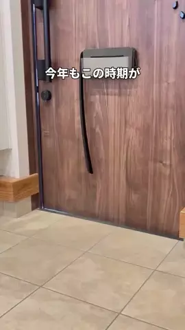 しまうまプリントのTikTok投稿
