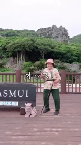 🌺南の島のおばーと孫🏝のTikTok投稿