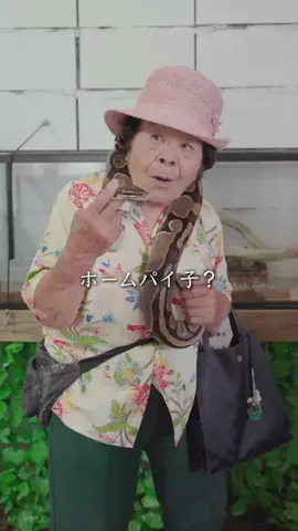 🌺南の島のおばーと孫🏝のTikTok投稿