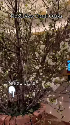 TriSulaOne_旅行TravelのTikTok投稿