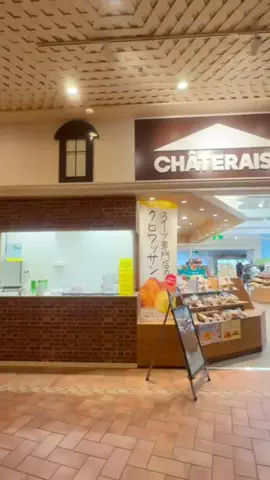 ASUKA_旅のガイドブックのTikTok投稿