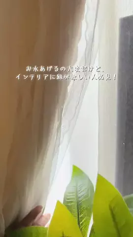 ASUKA_旅のガイドブックのTikTok投稿
