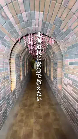 けんじ グルメマンのTikTok投稿