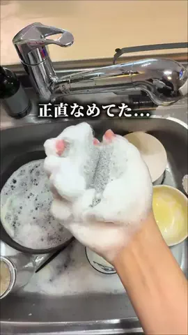 はる | ラクして整う新婚暮らしのTikTok投稿