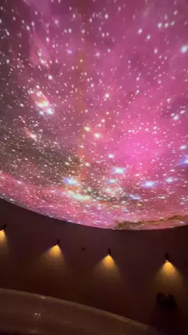 しゃま ✈️ ⁑ travelerのTikTok投稿