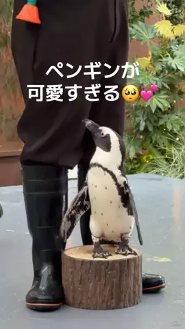 りあのTikTok投稿