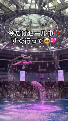りあのTikTok投稿