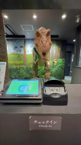 しゃま ✈️ ⁑ travelerのTikTok投稿