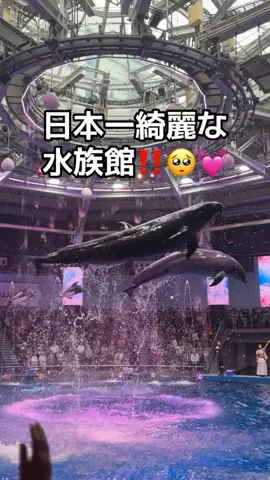 りあのTikTok投稿