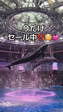りあのTikTok投稿