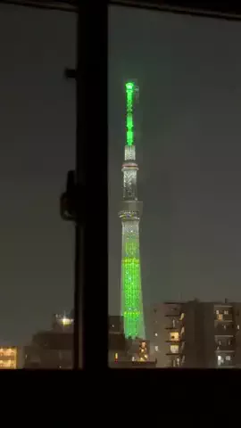 しゃま ✈️ ⁑ travelerのTikTok投稿