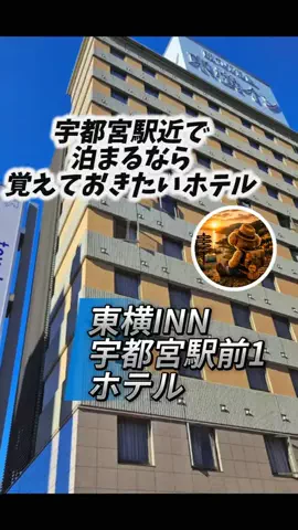 👑マルプー Binta｜ホテル旅🐻‍ 旅とご褒美🛍️のTikTok投稿