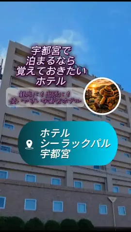 👑マルプー Binta｜ホテル旅🐻‍ 旅とご褒美🛍️のTikTok投稿