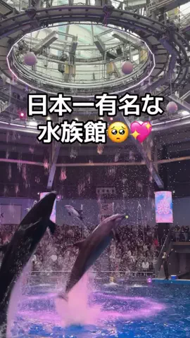りあのTikTok投稿