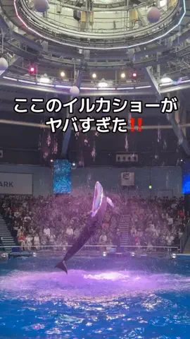 りあのTikTok投稿
