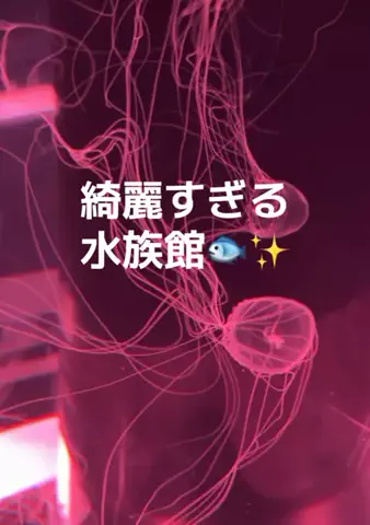 りあのTikTok投稿