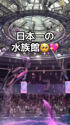 りあのTikTok投稿