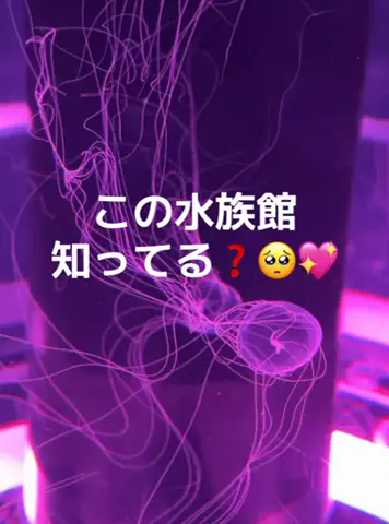 りあのTikTok投稿