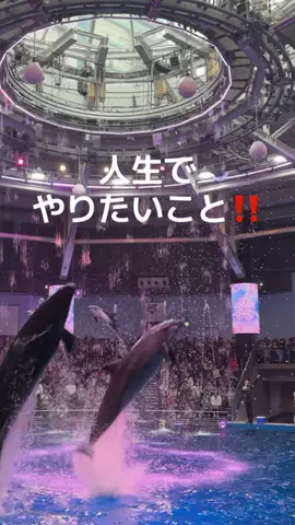 りあのTikTok投稿