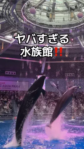 りあのTikTok投稿