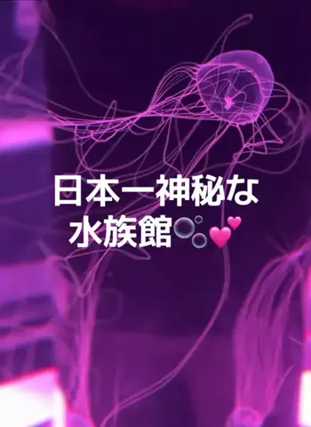 りあのTikTok投稿