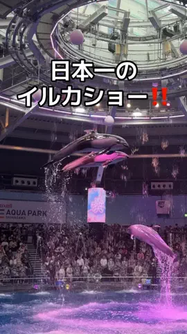 りあのTikTok投稿