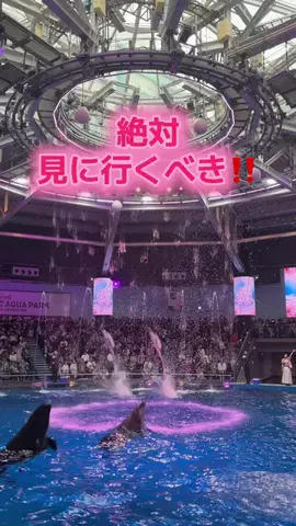 りあのTikTok投稿