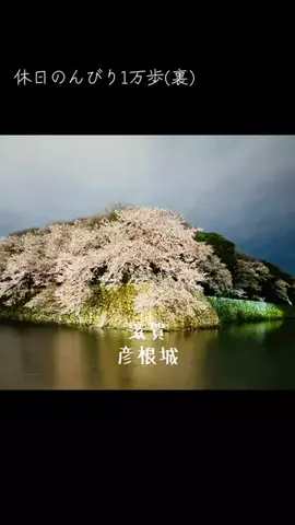 休日のんびり1万歩(裏)のTikTok投稿