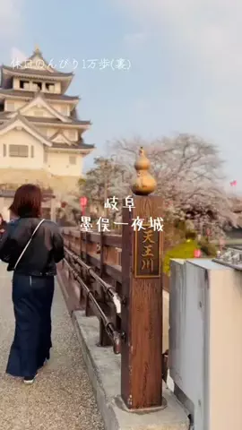 休日のんびり1万歩(裏)のTikTok投稿
