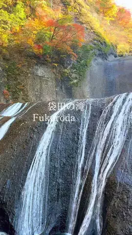🌕うーちゃん🌕のTikTok投稿