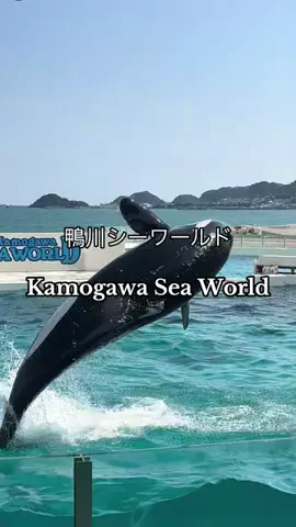 🌕うーちゃん🌕のTikTok投稿