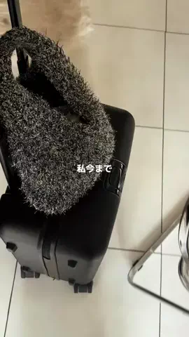ろの暮らしのTikTok投稿