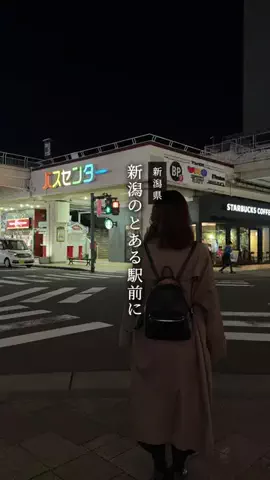 がたうぉーかー【新潟グルメ/スポット】のTikTok投稿