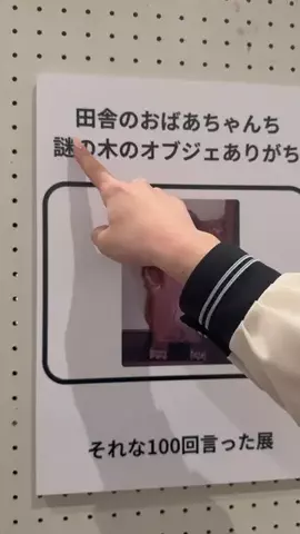 りぃこちゃんねる❣️のTikTok投稿