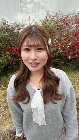 カモミールチャンネルのTikTok投稿