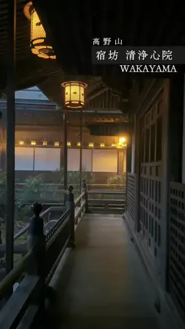 こぺ夫婦🍊和歌山お出かけ、時々旅行。のTikTok投稿