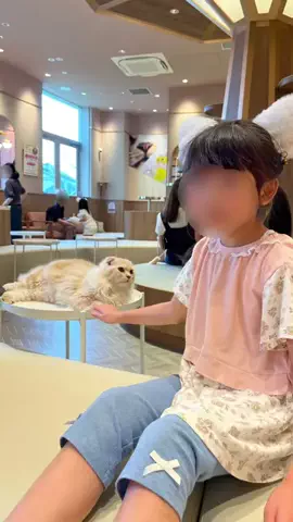 あゆ|愛知子連れお出かけのTikTok投稿
