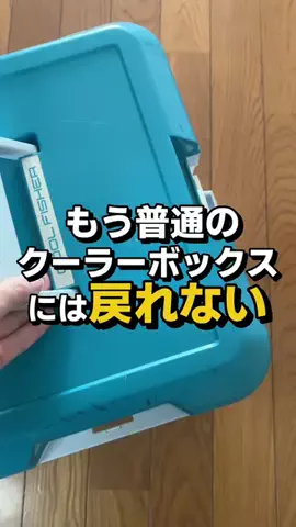 フラミン子のTikTok投稿