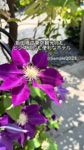 Sample2023のTikTok投稿