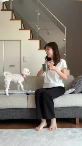 フリーアナウンサーみついよしえ☀️🌈のTikTok投稿