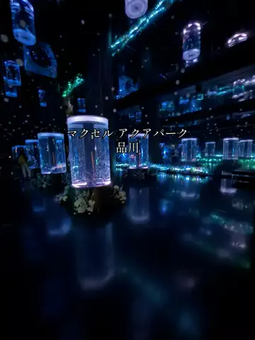 Sample2023のTikTok投稿