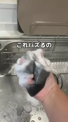 こまち｜掃除屋が教える1分楽ピカ術✨のTikTok投稿