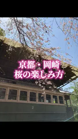 ミカマイ📺元ADゆるっと取材🌈のTikTok投稿
