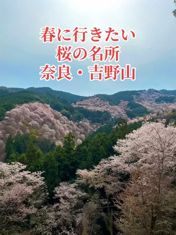 ミカマイ📺元ADゆるっと取材🌈のTikTok投稿
