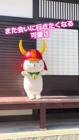 ミカマイ📺元ADゆるっと取材🌈のTikTok投稿