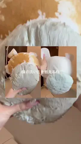 ジウ｜美容マニアのTikTok投稿
