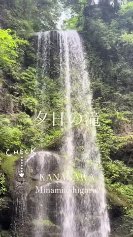 NONO ｜ 週末trip ✦のTikTok投稿