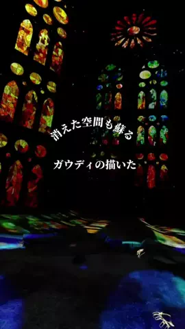 hana_no_odekakeのTikTok投稿